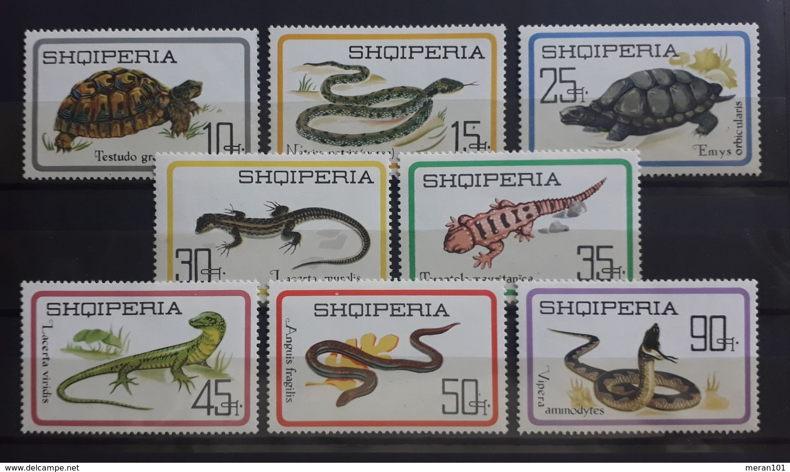 ALBANIEN 1966, Reptilien Mi 1083-90 MNH Postfrisch - Albania