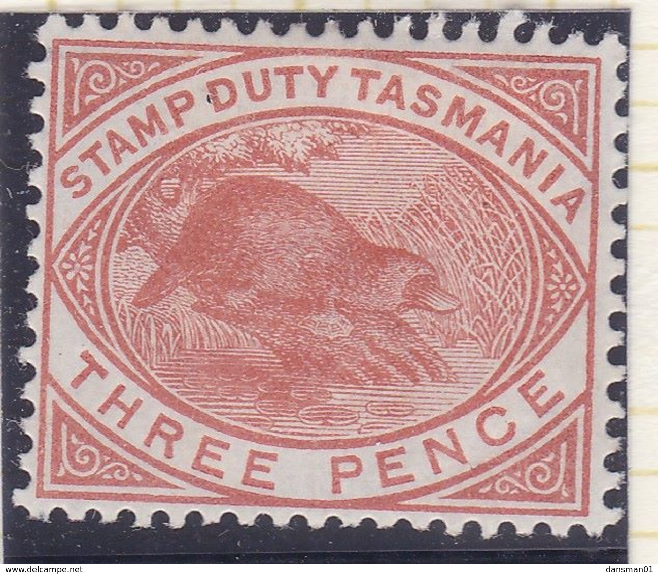 Tasmania 1880 P.14 SG F27 Mint Hinged Stamp Duty - Ongebruikt