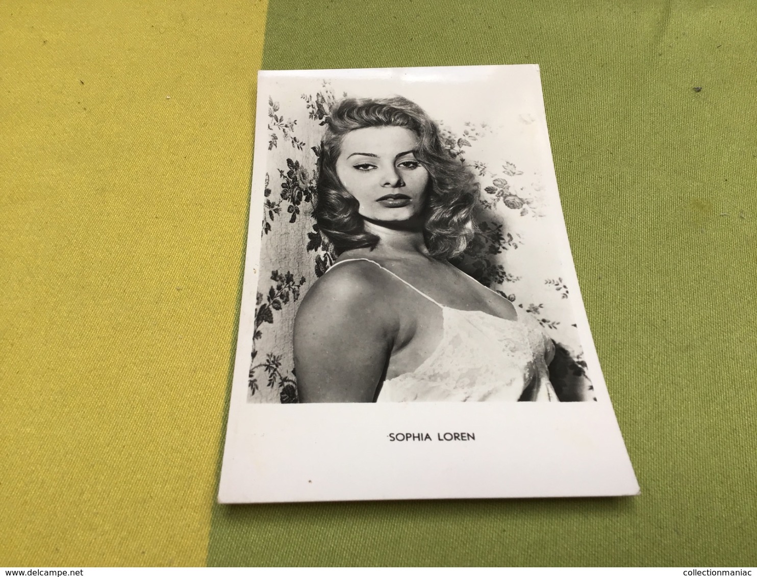 Carte Photo Sophia Loren - Actors