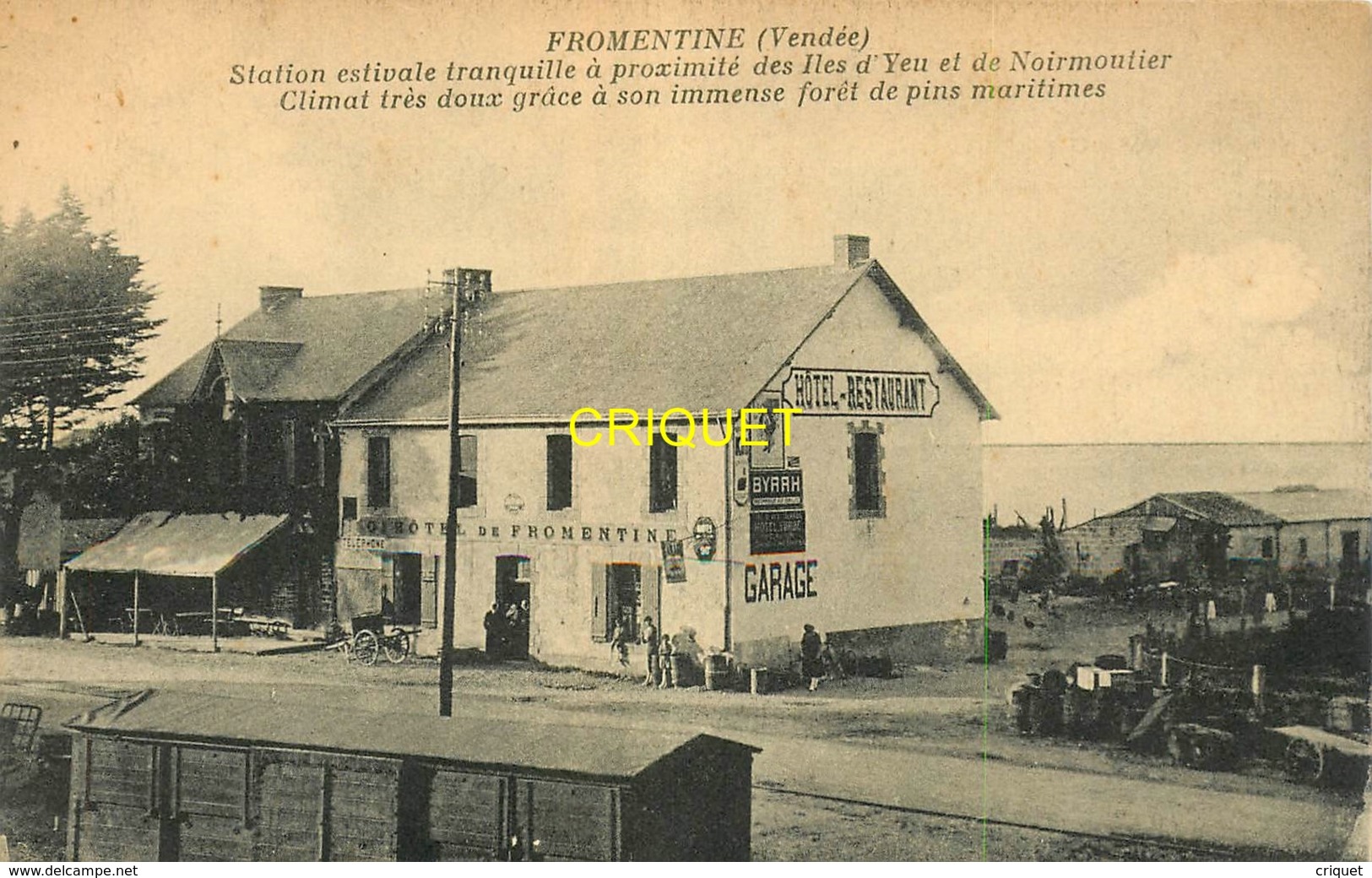 85 Fromentine, Station Estivale..., Vue De La Gare Et De L'Hotel De Fromentine - Other & Unclassified