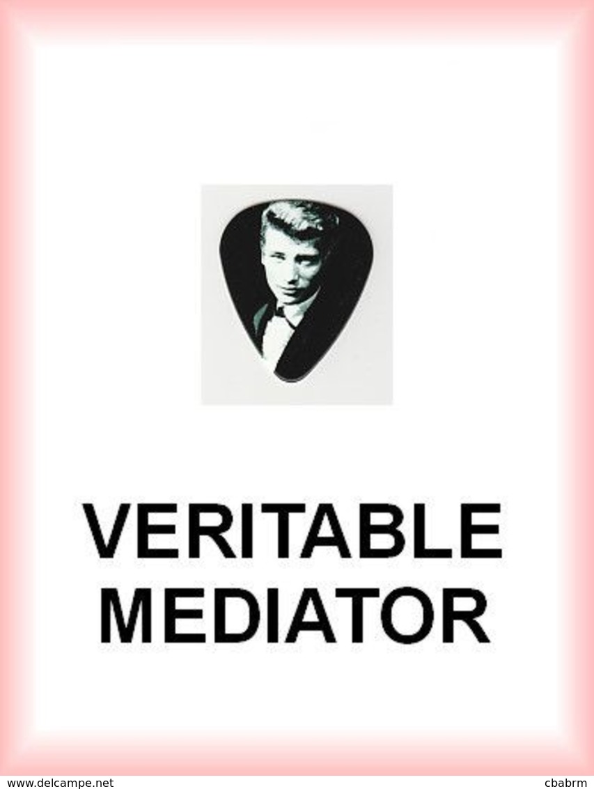 JOHNNY HALLYDAY MEDIATOR Medium PLECTRUM Guitar Pick (trés Jeune) - Toebehoren En Hoezen