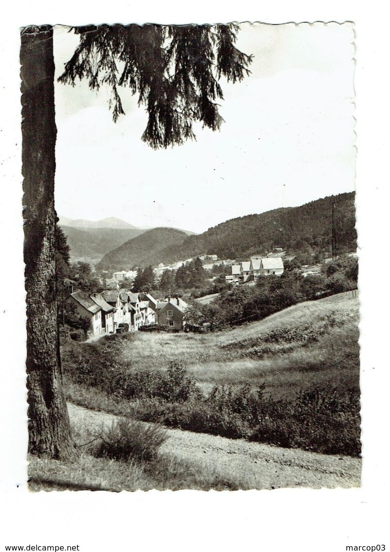 67 BAS RHIN ROTHAU Vue Partielle - Rothau