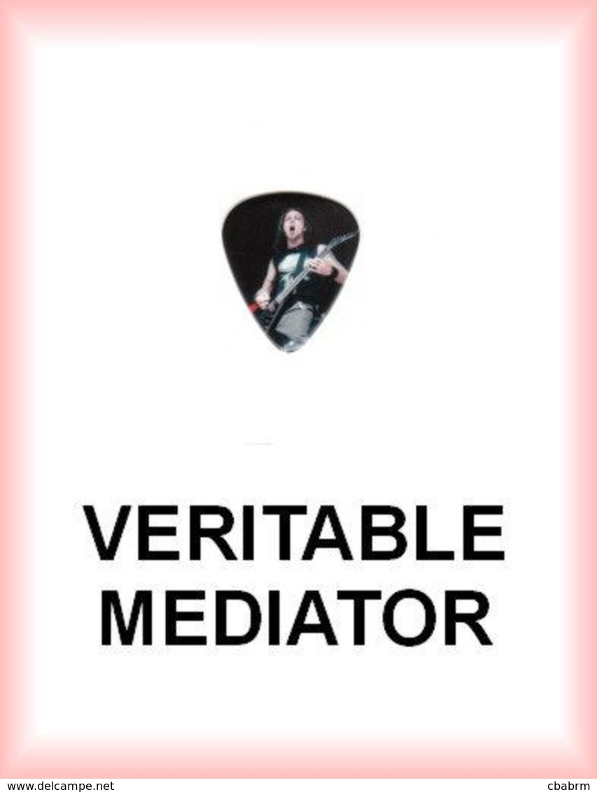 BULLET FOR MY VALENTINE MEDIATOR Medium PLECTRUM Guitar Pick (SUR SCENE) - Zubehör & Versandtaschen