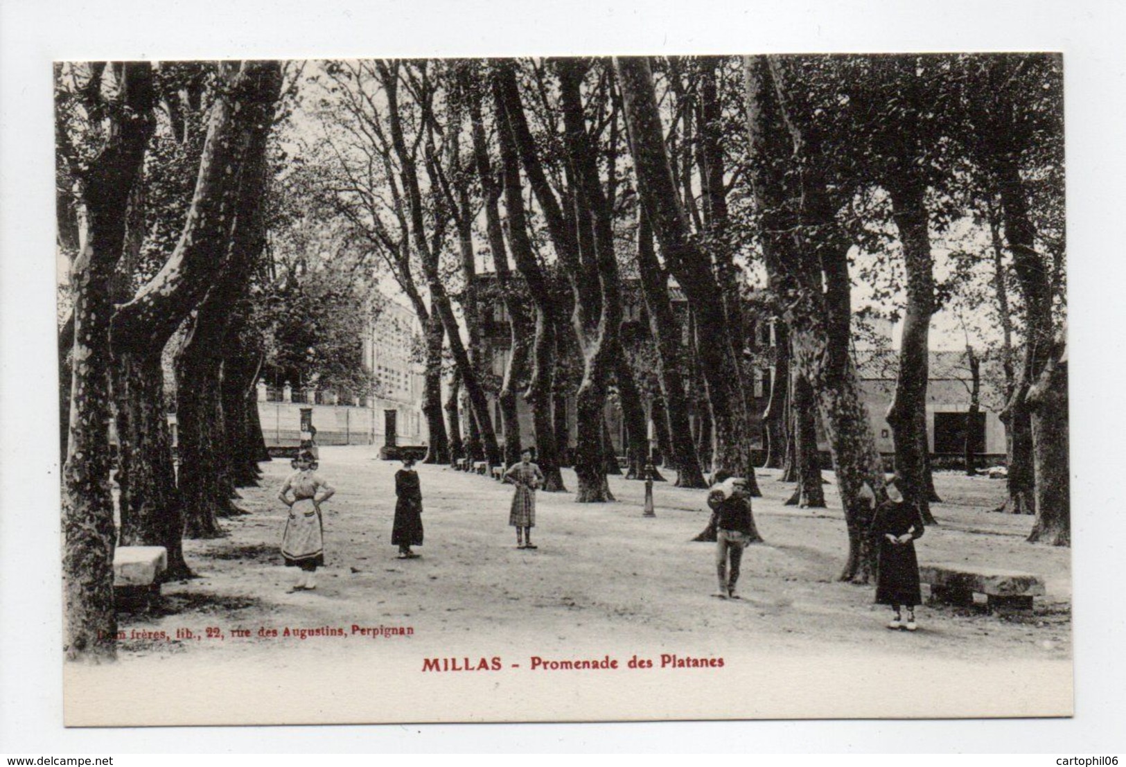 - CPA MILLAS (66) - Promenade Des Platanes (avec Personnages) - Edition Brun - - Millas