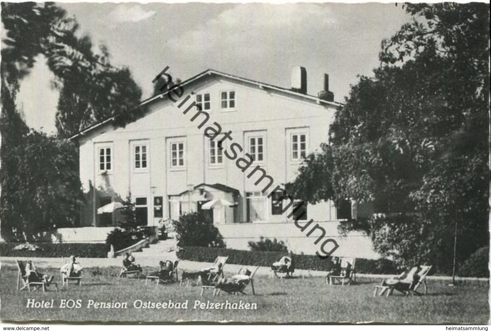 Ostseebad Pelzerhaken - Hotel Pension EOS Besitzer Armin Bönicke - Foto-AK Gel. 1963 - Neustadt (Holstein)