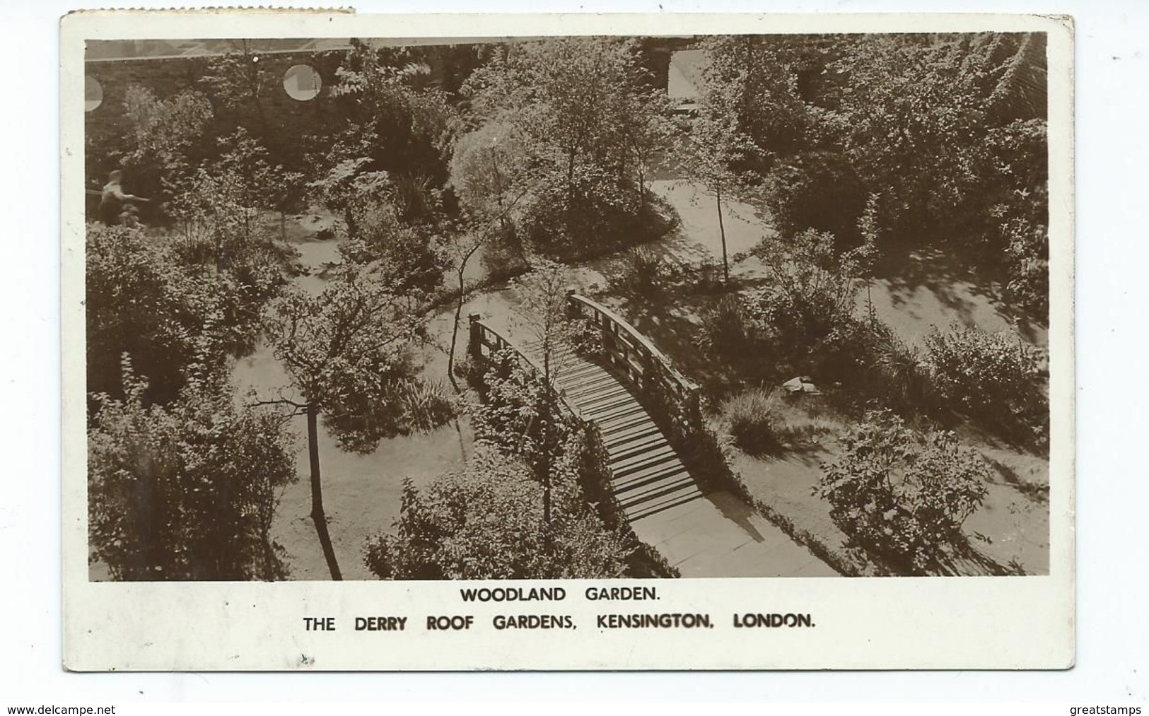 London Postcard Kensington Woodland Garden Derry Roof Gardens Rp Posted 1957 - Autres & Non Classés