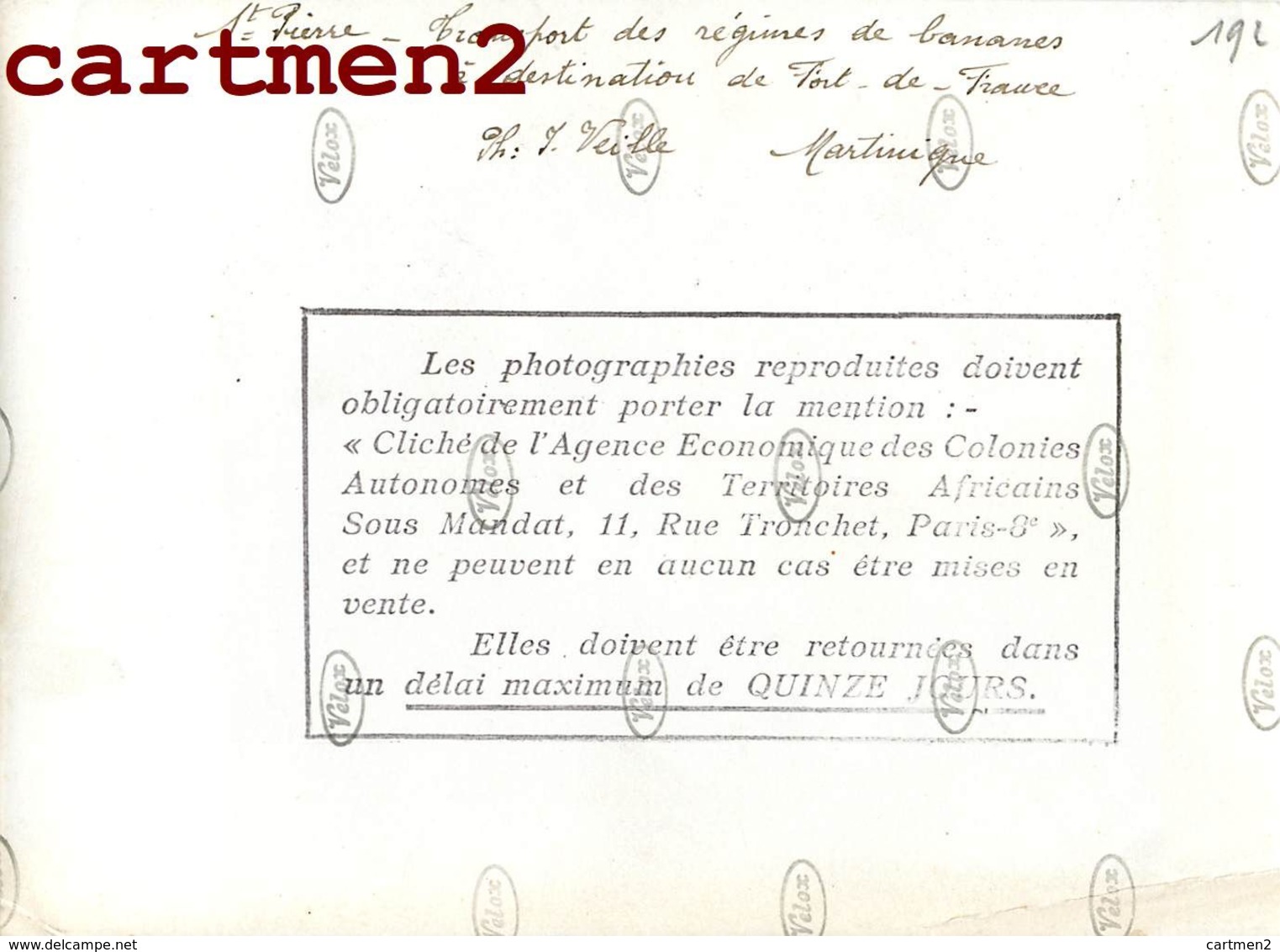 MARTINIQUE SAINT-PIERRE CHARGEMENT DE BARQUES PHOTOGRAPHE J. VEILLE GRANDE PHOTOGRAPHIE ANCIENNE - Andere & Zonder Classificatie