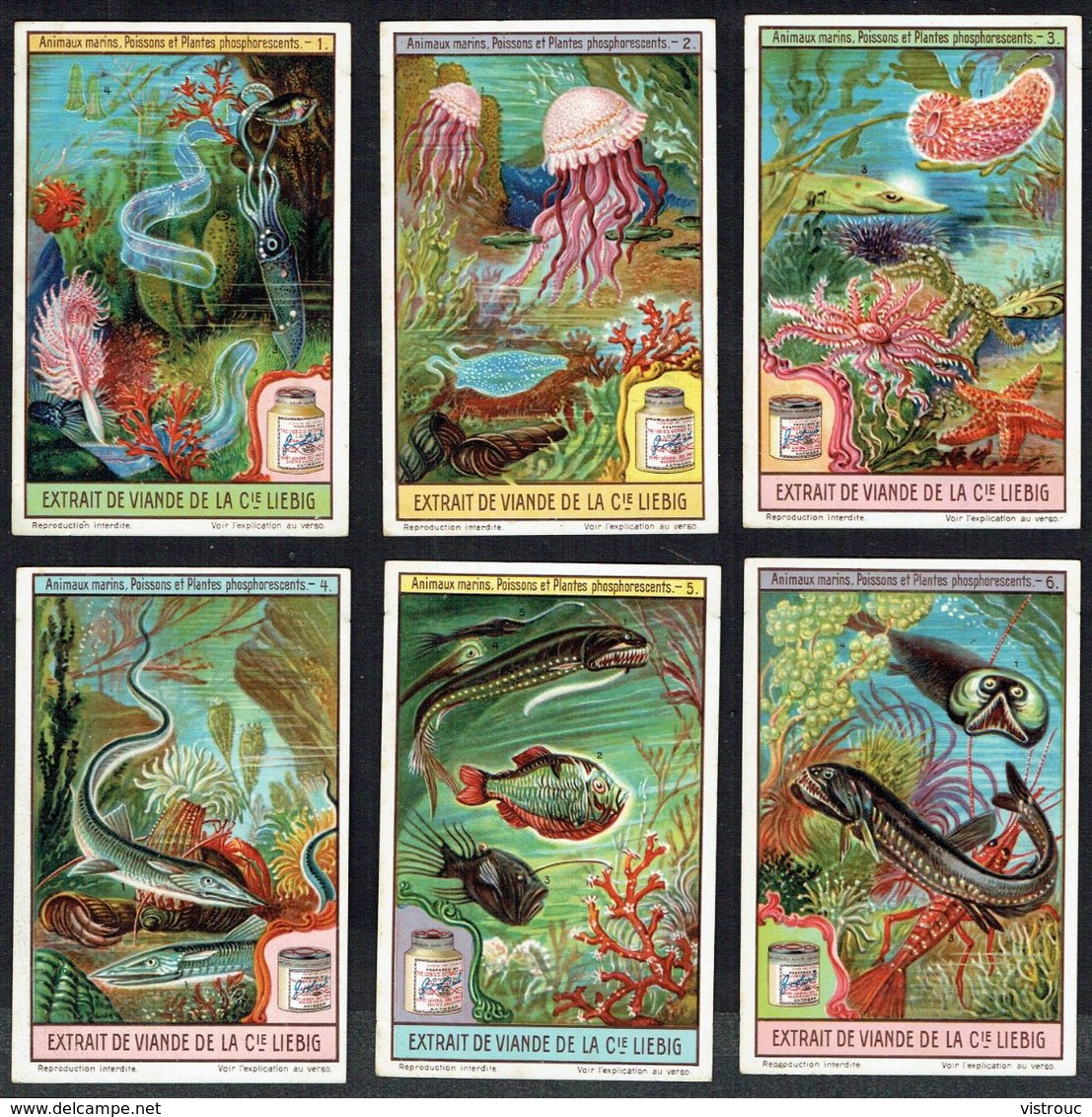 LIEBIG - FR - 6 Chromos - Reeks/série S.1133 - ANIMAUX MARINS, POISSONS ET PLANTES PHOSPHORESCENTS. - Liebig