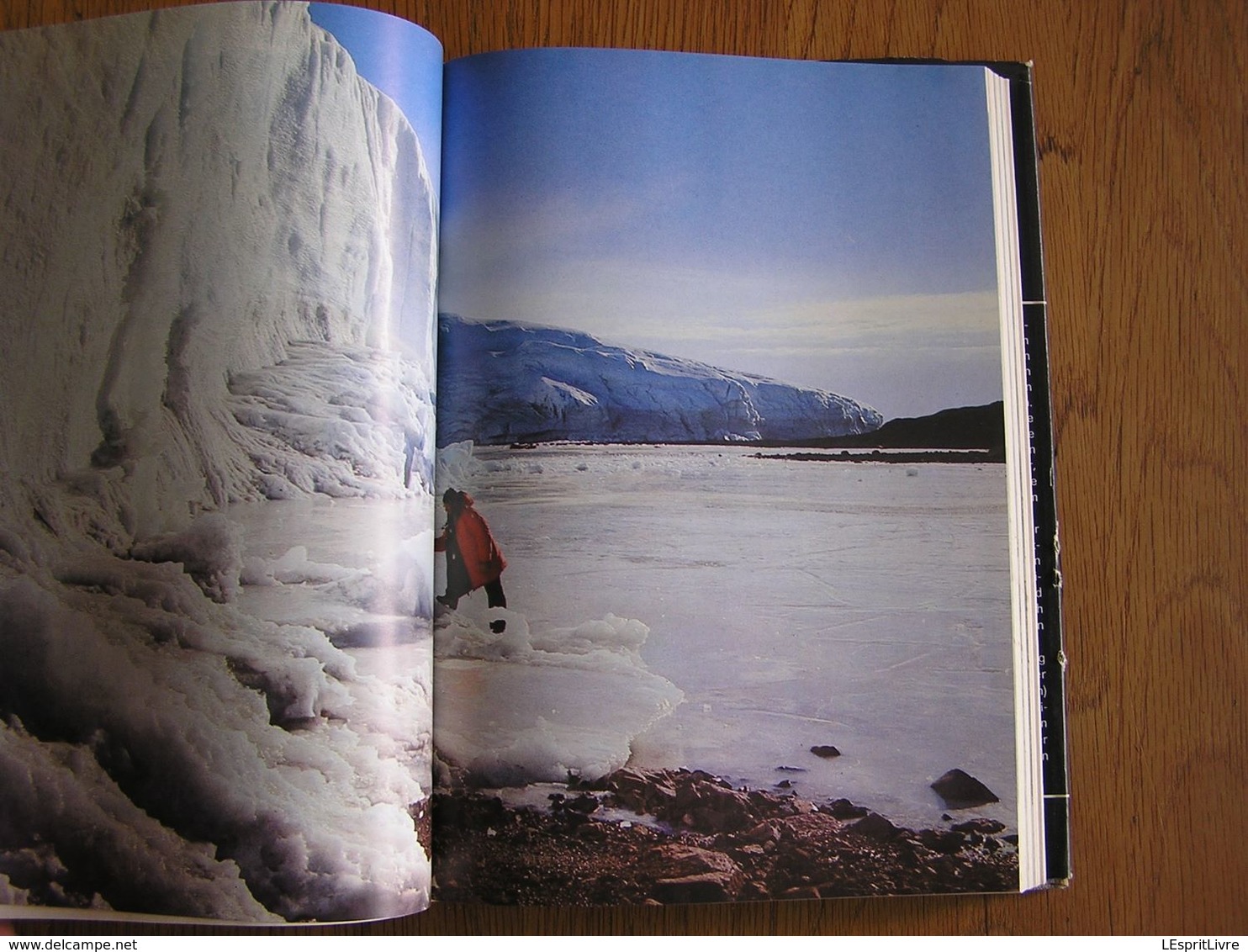 BEWÄHRUNG IN ANTARKTIKA Antarktisforschung Der DDR  Exploration Polaire Antarctic Antarctique Pôle Sud Polar