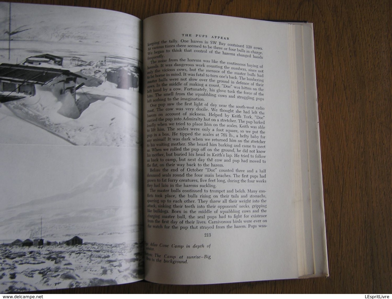 FOURTEEN MEN The Story of the Australian Antarctic Expédition to Heard Island Exploration Polaire Antarctique Pôle Sud