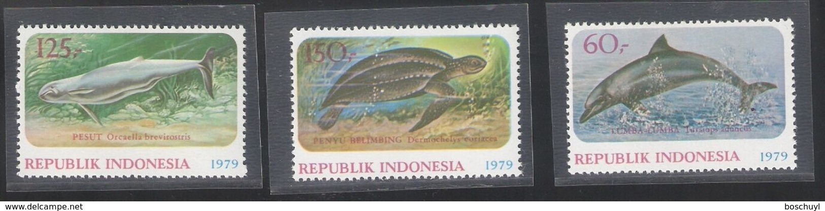 Indonesia, 1979, Dolphin, Turtles, Animals, Fauna, MNH, Michel 944-946 - Indonésie