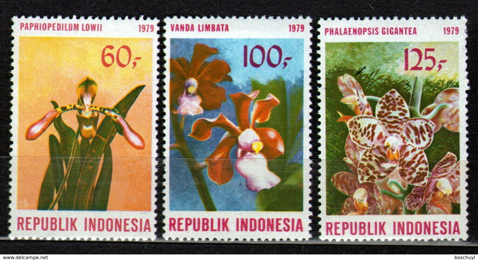 Indonesia, 1979, Orchids, Flowers, Flora, MNH, Michel 923-925 - Indonésie