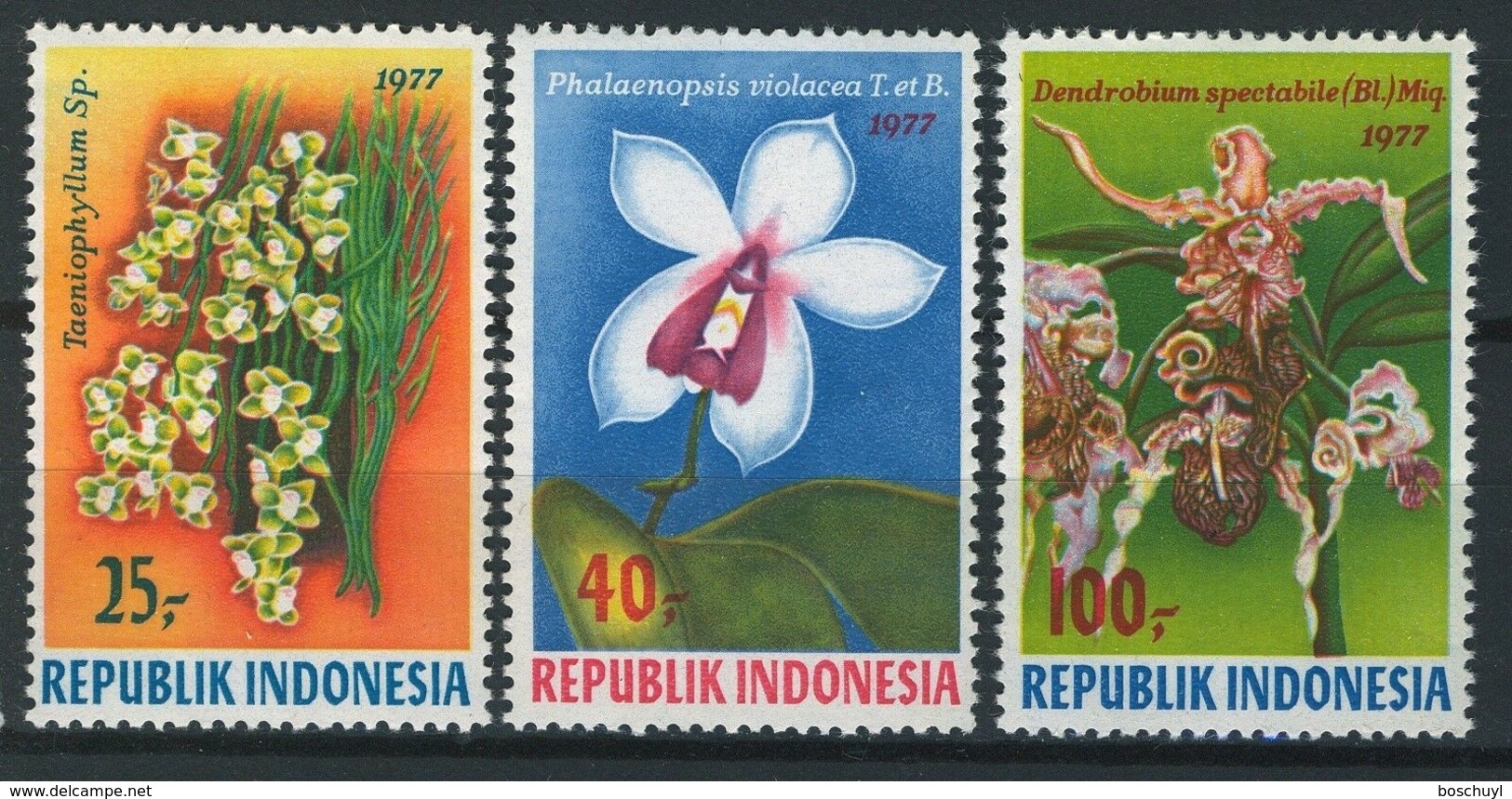 Indonesia, 1977, Orchids, Flowers, Flora, MNH, Michel 883-885 - Indonésie