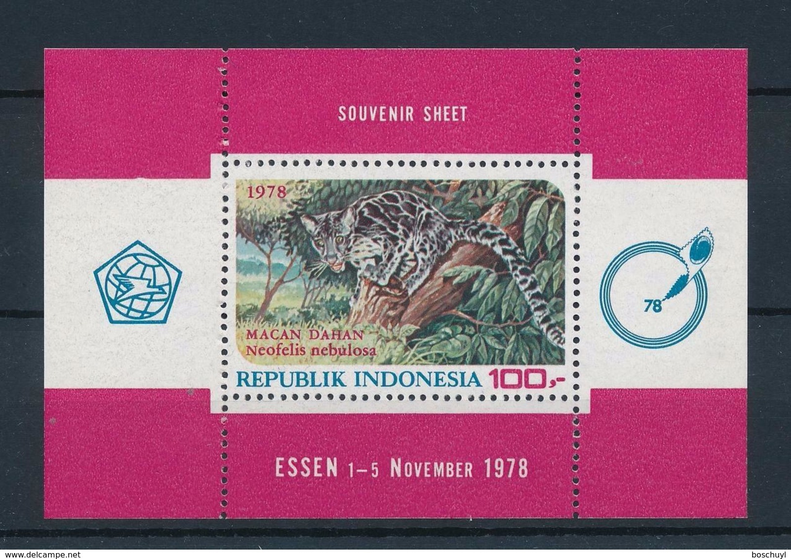 Indonesia, 1978, Cat, Animals, Fauna, Nature Conservation, MNH, Michel Block 26 - Indonésie
