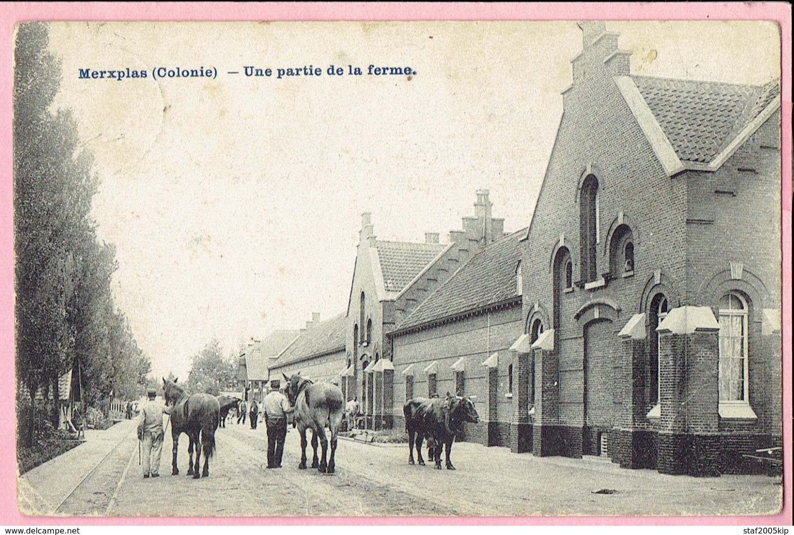 Merxplas (Colonie) - Une Partie De La Ferme - Merksplas - 1907 - Merksplas