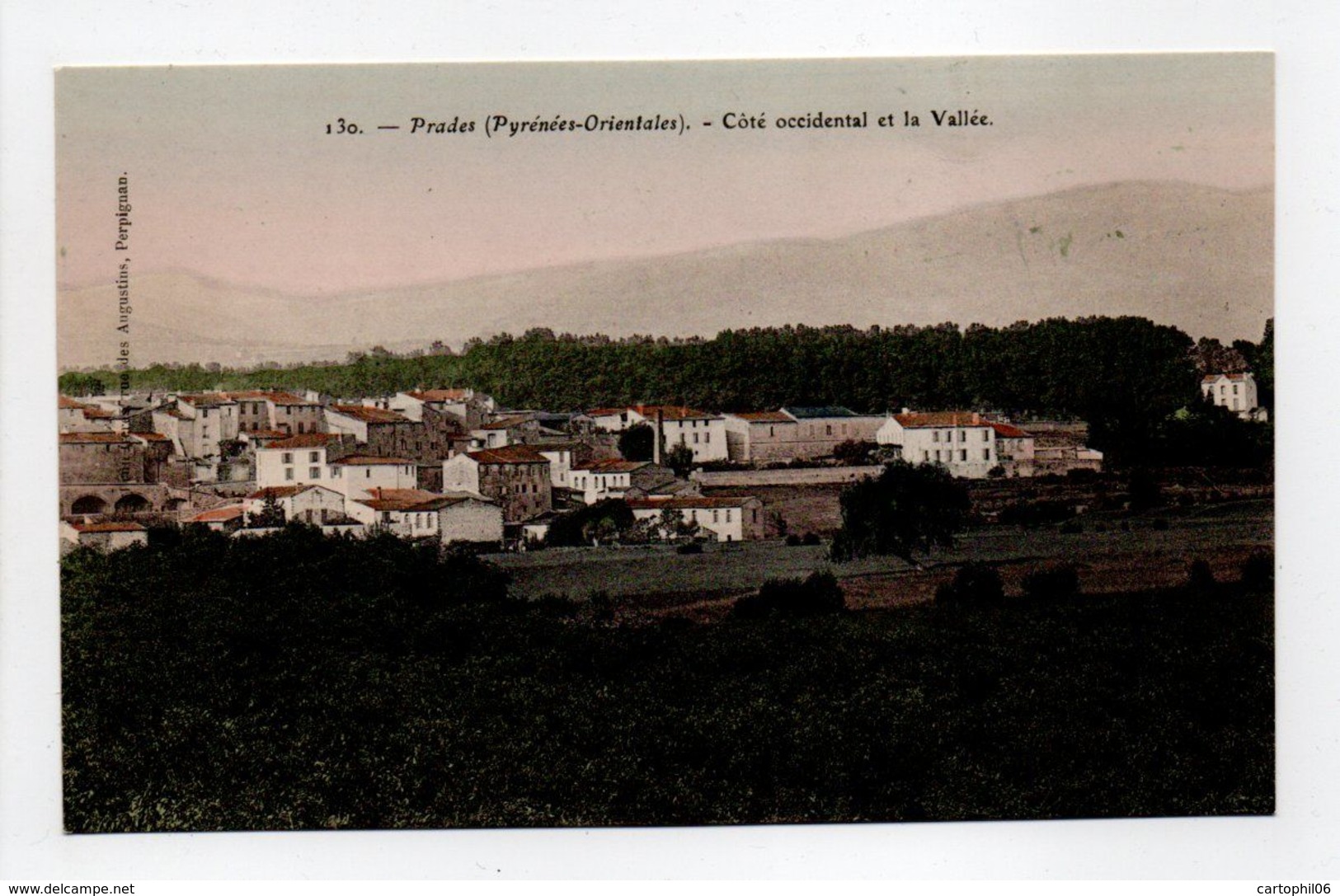 - CPA PRADES (66) - Côté Occidental Et La Vallée - Edition Brun 130 - - Prades