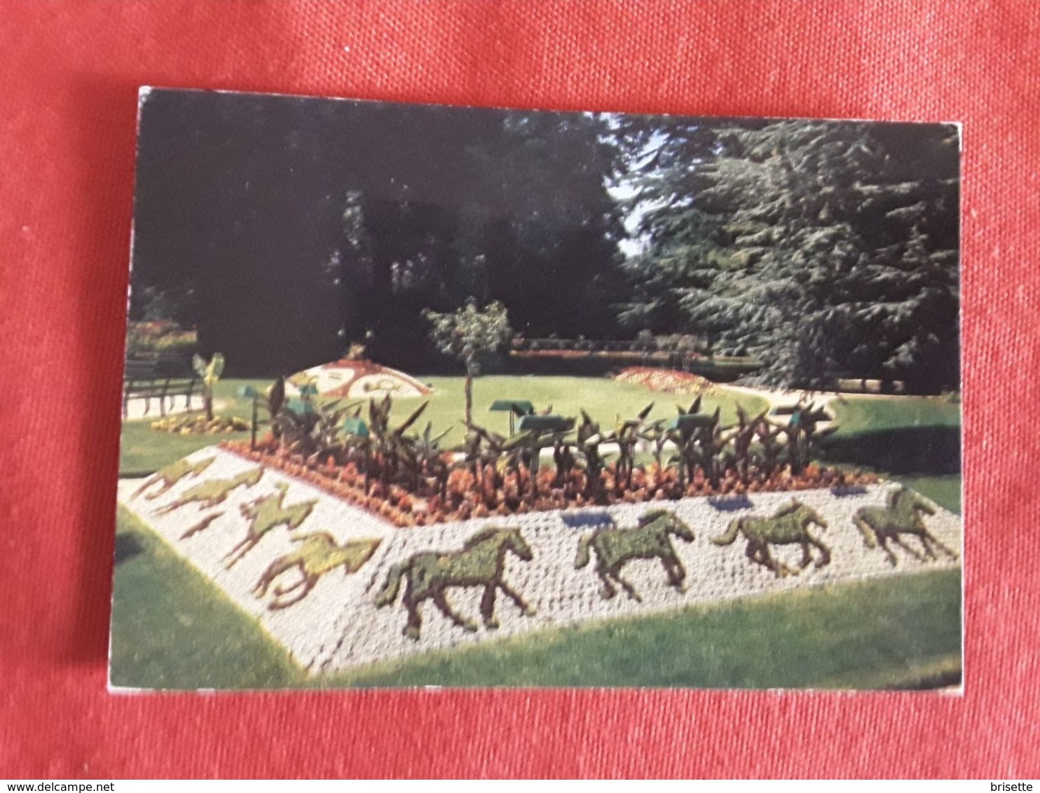 No 224  Manche  50  Coutances  Jardin Public 1990 - Coutances