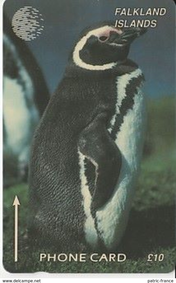 Falkland Island - Penguin (£10) - Pinguïns & Vetganzen