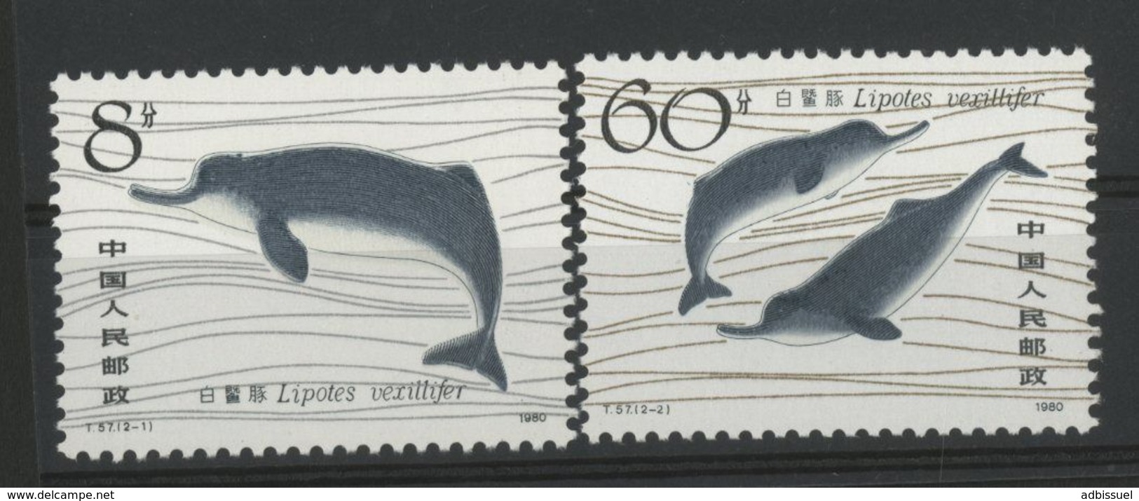 CHINA / CHINE 1980 / Y&T N° 2385 To 2386 ** MNH / Value 15 €. VG/TB. Lipotes Vexillifer, Chinese Dolfins (dauphins) - Neufs