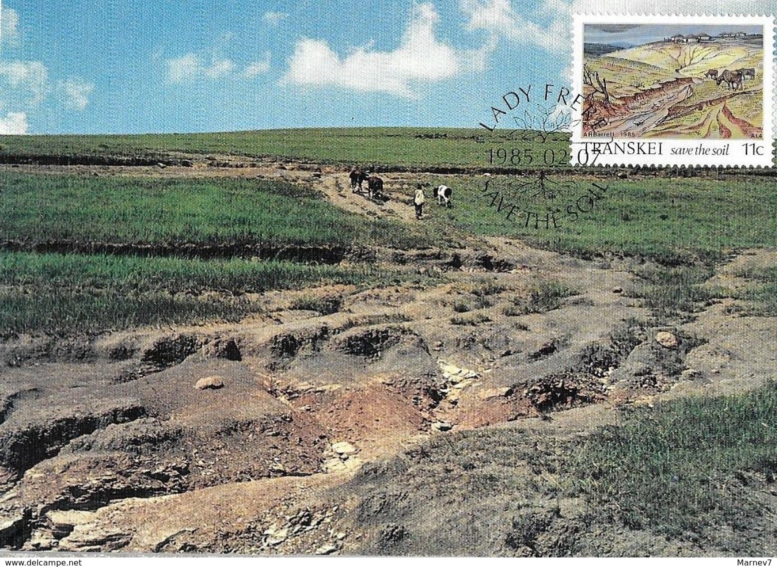 TRANSKEI - Yvert 163-164 - Carte Maximum 12 07 1985 - Save The Soil -  Environnement Nature  Conservation - Transkei
