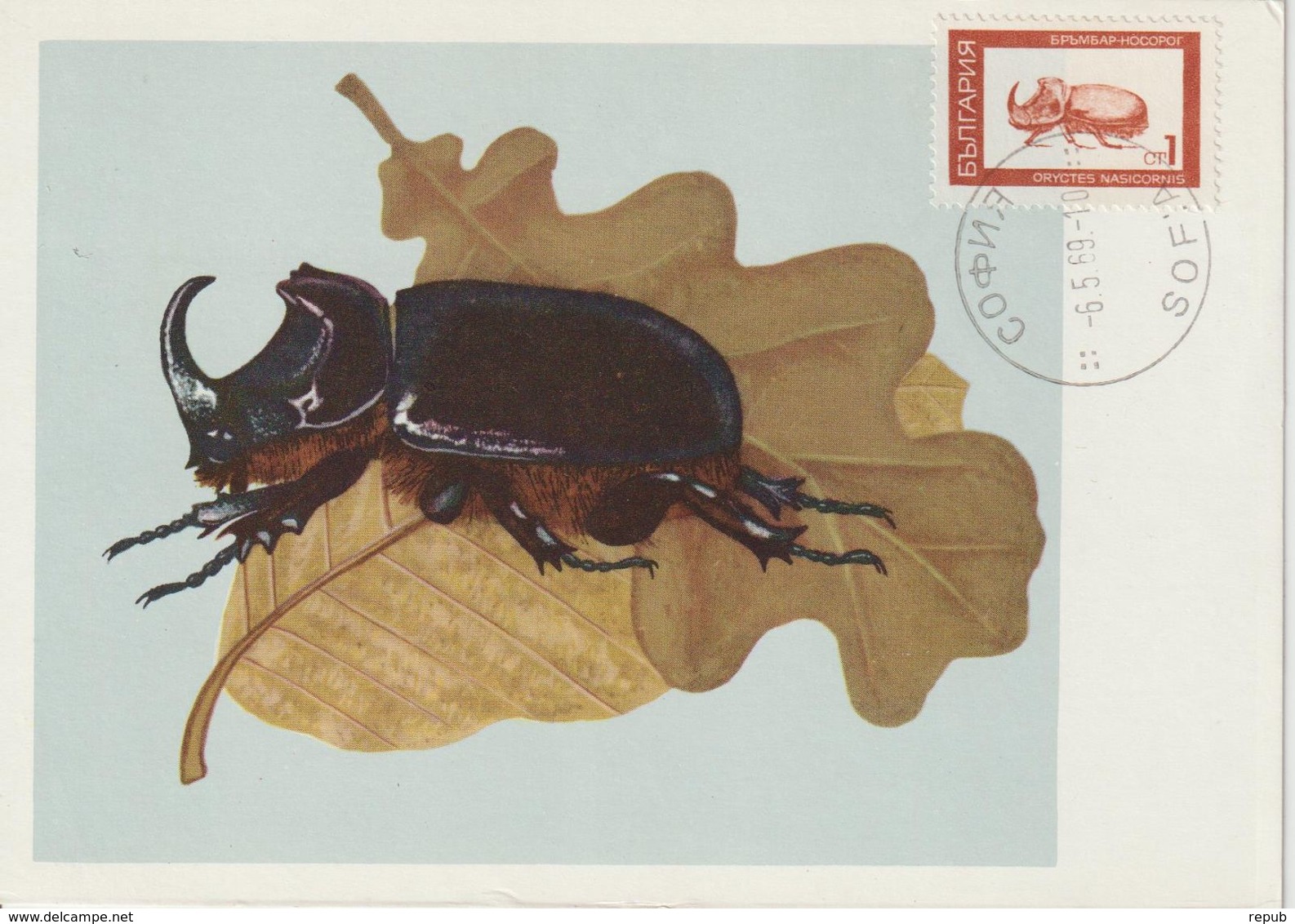 Bulgarie Carte Maximum 1968 Insectes 1612 - Storia Postale