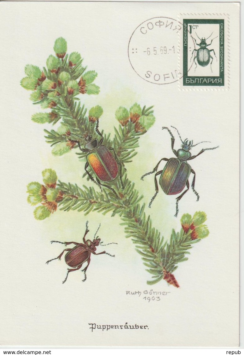 Bulgarie Carte Maximum 1968 Insectes 1613 - Cartas & Documentos