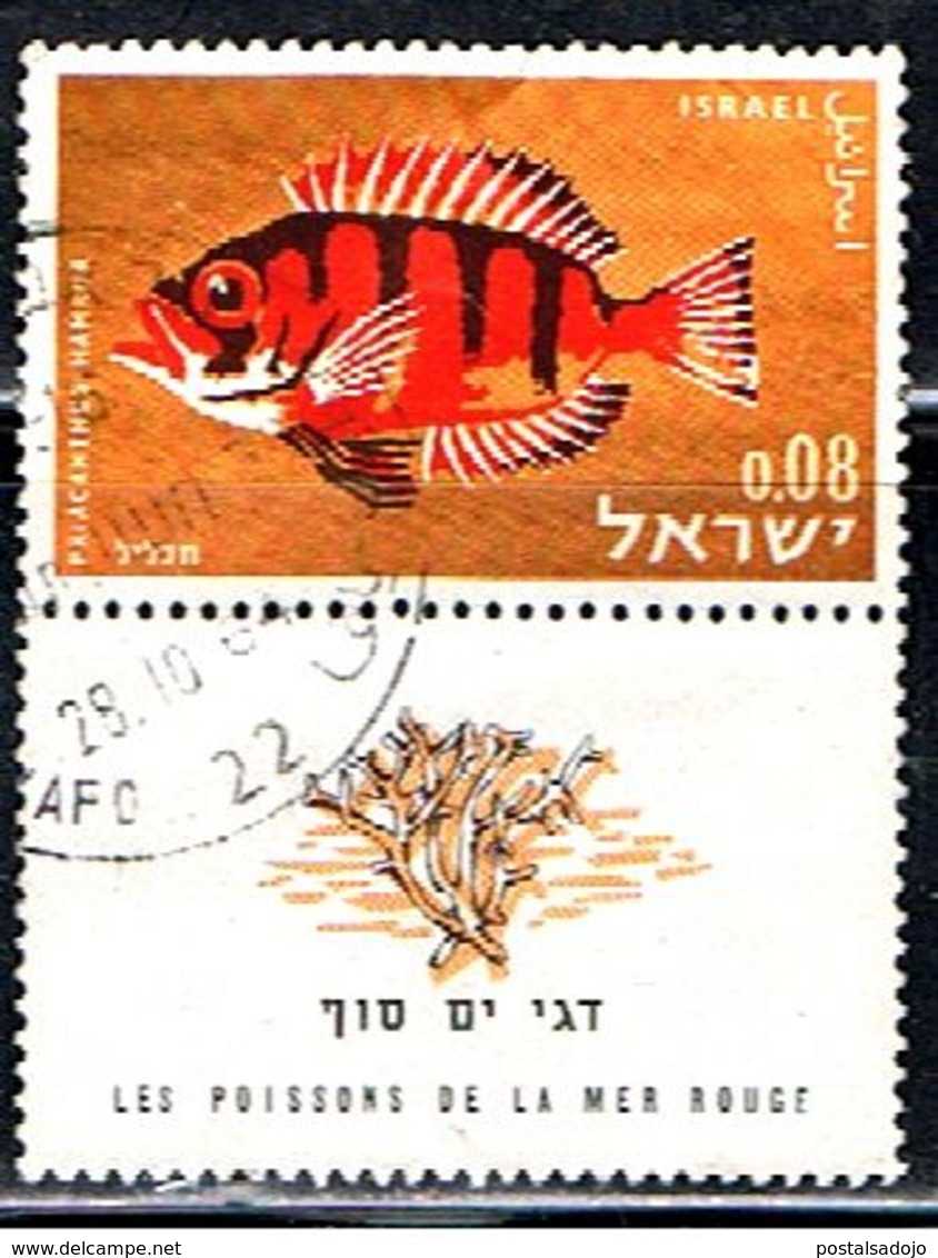 ISRAEL 488 // YVERT 244 // 1963 - Used Stamps (with Tabs)