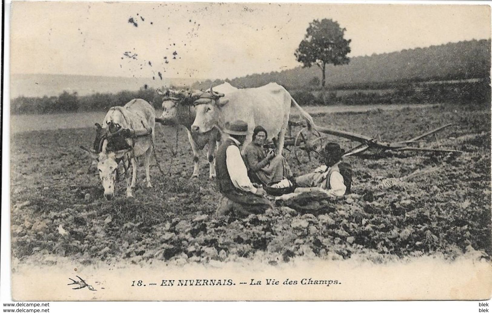 58 . Nièvre  : La Vie Des Champs . - Autres & Non Classés