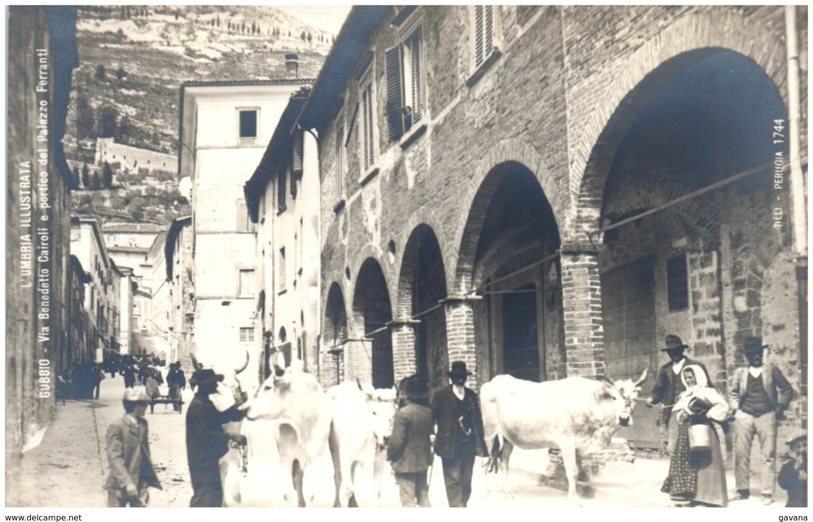 L'UMBRIA ILLUSTRATA - GUBBIO - Via Benedetto Cairoli E Portico Del Palazzo Ferranti - Otros & Sin Clasificación