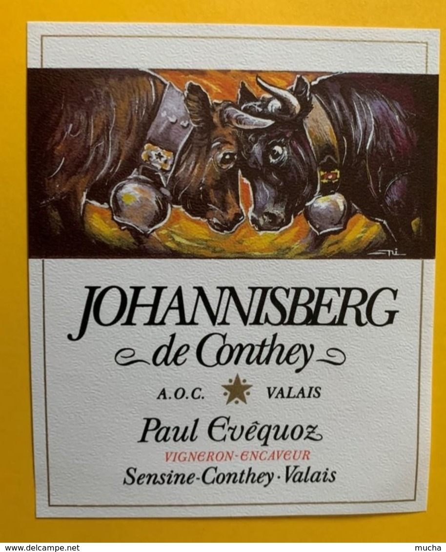 11689 -  Combat De Reines Johannisberg De CVonthey Paul Evêquoz Sensine-Conthey - Vaches