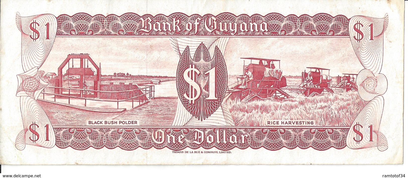 GUYANA - 1 DOLLARS (529641) - Guyana