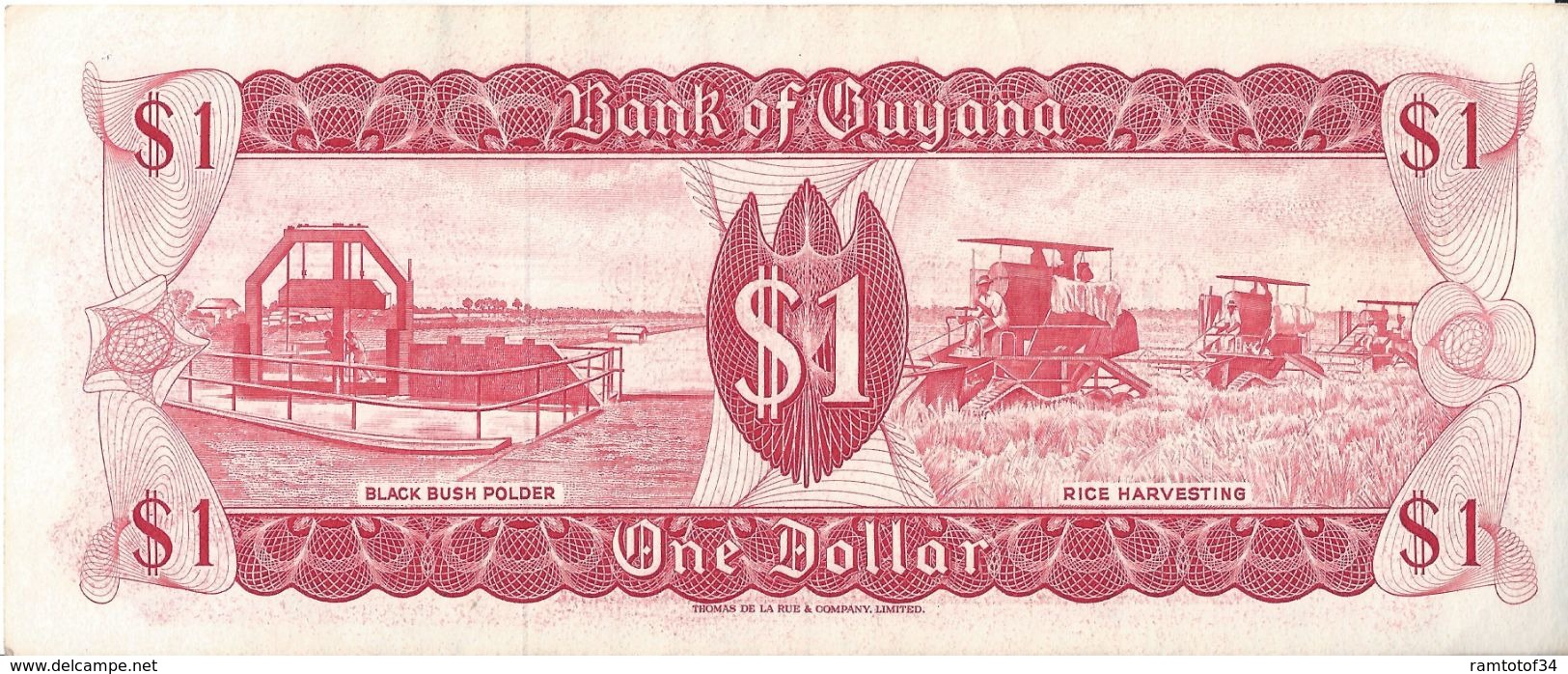 GUYANA - 1 DOLLARS (014235) - Guyana