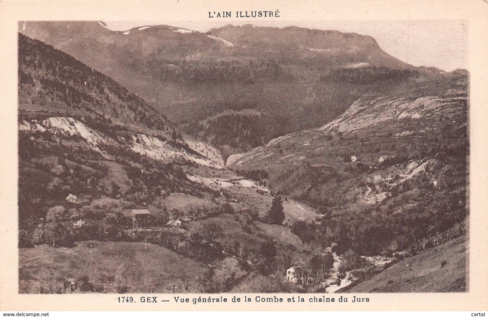 01 - GEX - Vue Générale De La Combe Et La Chaîne Du Jura - Gex