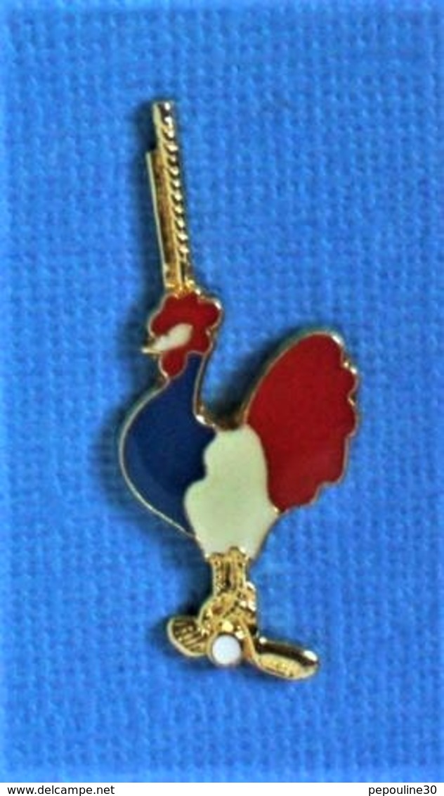 1 PIN'S //  ** F.F.G. / FÉDÉRATION FRANÇAISE DE GOLF ** - Golf