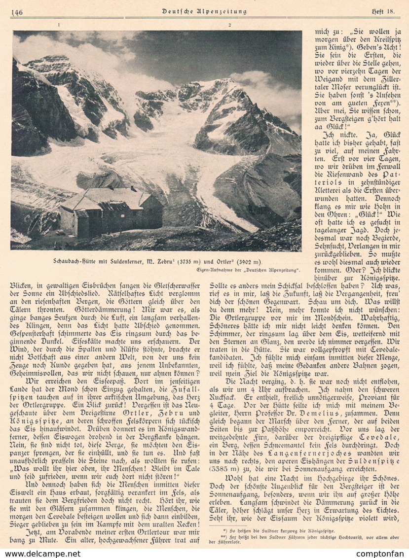 A102 558 - Heinz Von Ficker Königsspitze Sulden Dolomiten Artikel Mit 5 Bildern 1903 !! - Sonstige & Ohne Zuordnung