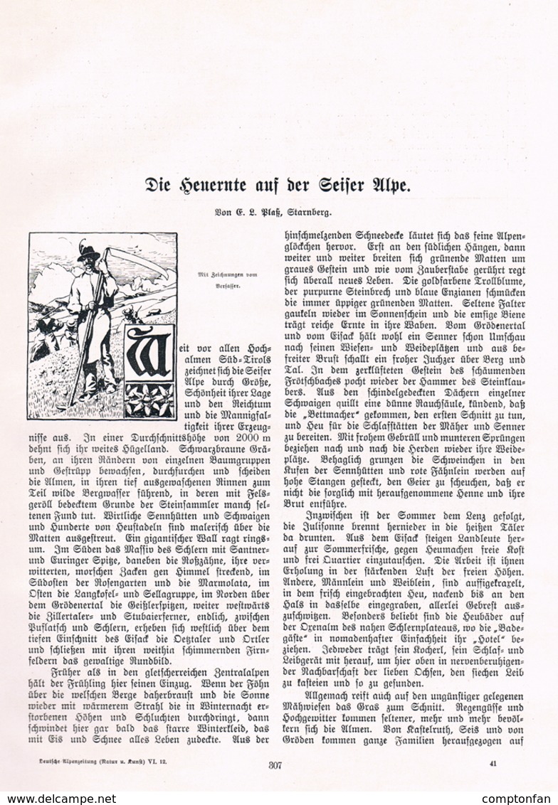 A102 578 - Plass Seiser Alpe Alpe Di Siusi Heuernte Artikel Mit 5 Bildern 1906 !! - Altri & Non Classificati