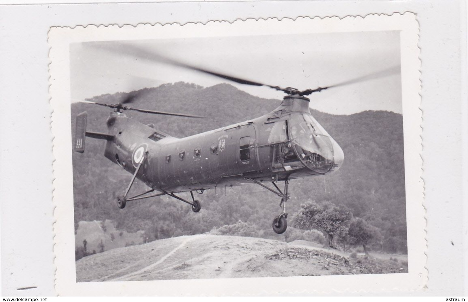 Cpa ( Photo )-aviation-helicoptere  Vertol H-21" Banane " En Algerie - Elicotteri