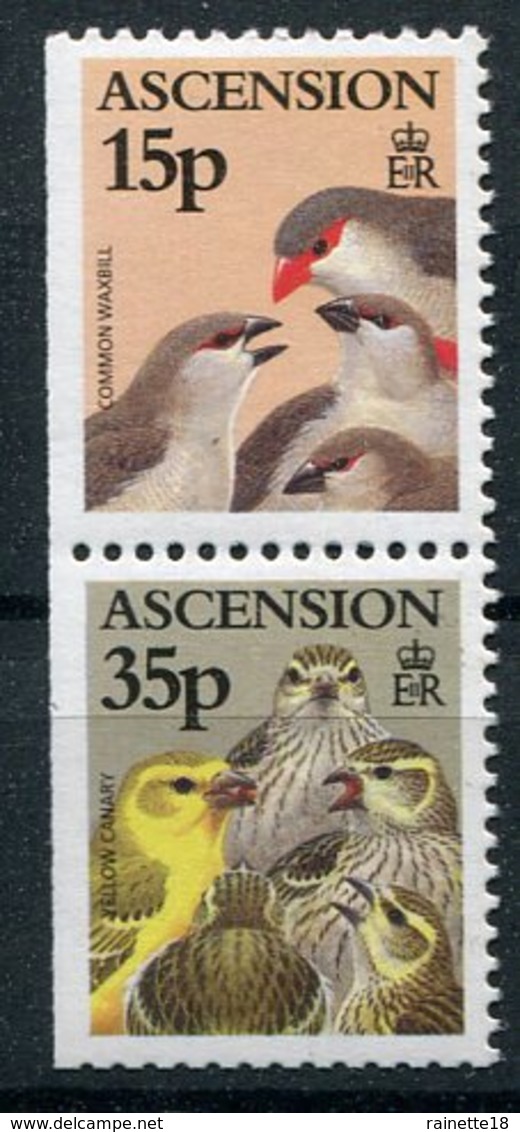 Ascension     Oiseaux    706/707 ** - Other & Unclassified