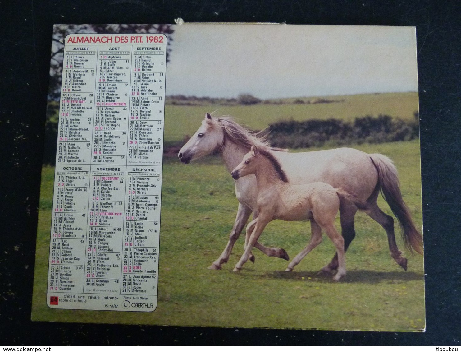 CALENDRIER ALMANACH DES PTT LA POSTE 1982 AVEC CARTES YONNE AVALLON AUXERRE SENS - Grand Format : 1981-90