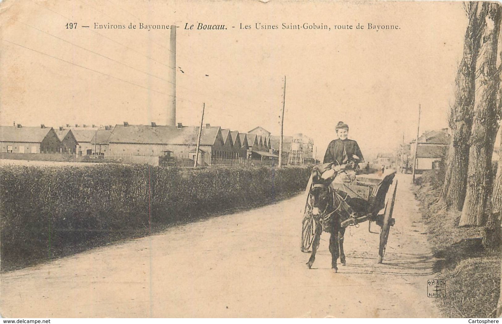 CPA 64 Pyrénées-Atlantiques Le Boucau Environs De Bayonne Les Usines Saint Gobain Route De - Attelage Ane 1905 - Boucau