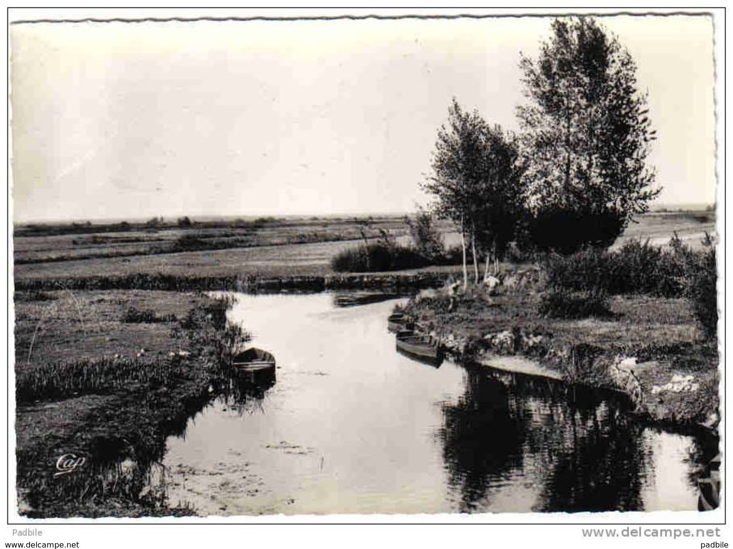 Carte Postale 44.  Saint-Joachim  La Boulée Trés Beau Plan - Saint-Lyphard