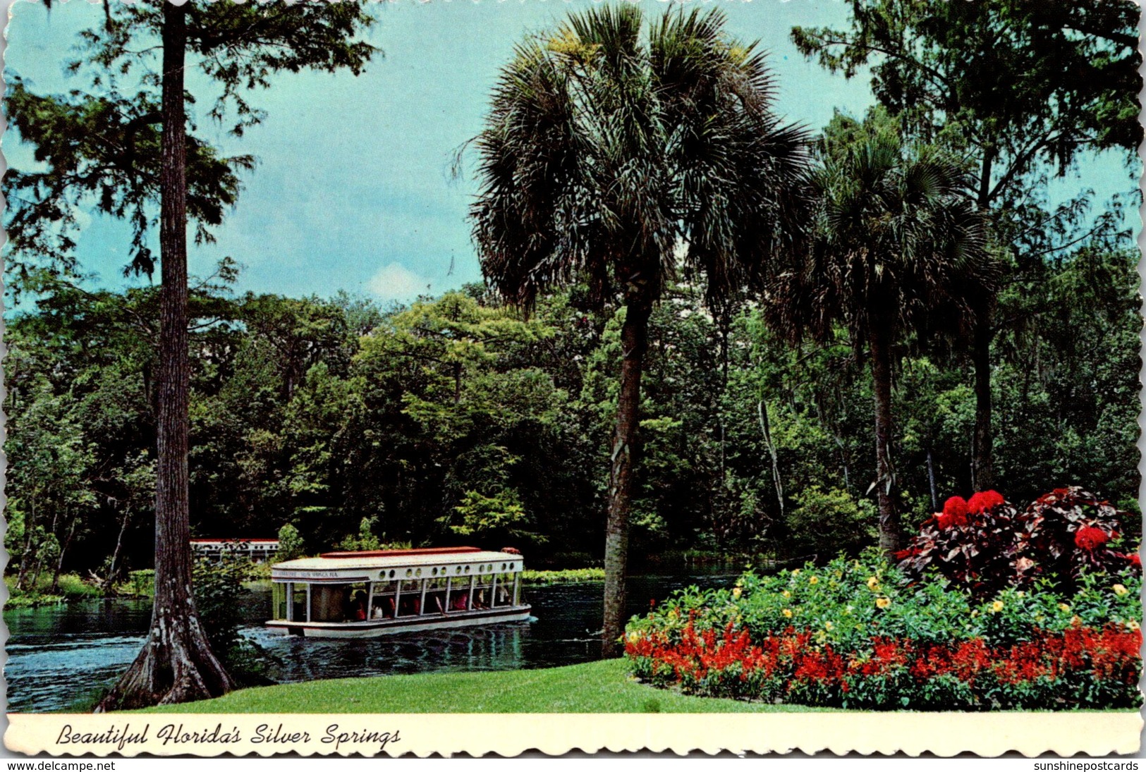 Florida Silver Springs Electric Glass Bottom Boat 1977 - Silver Springs