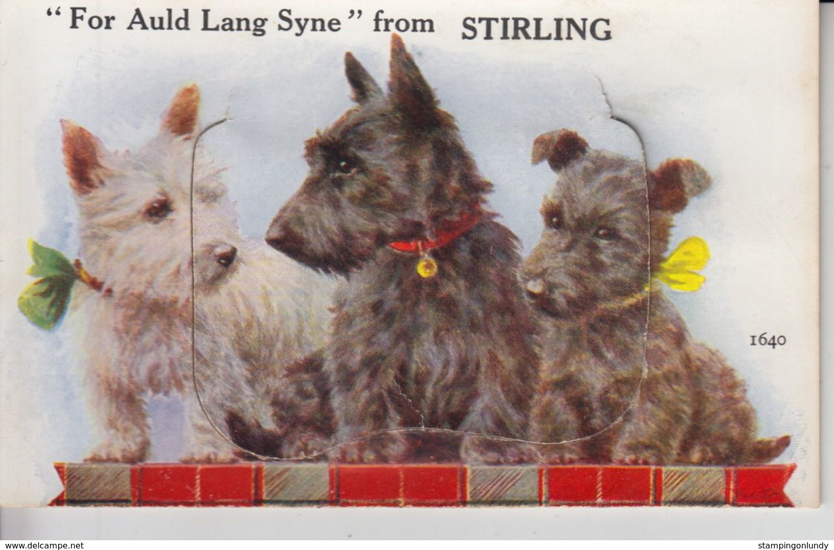 NP147 Novelty Postcard Stirling Scotland West Highland Terrier Pictures Complete - Dogs