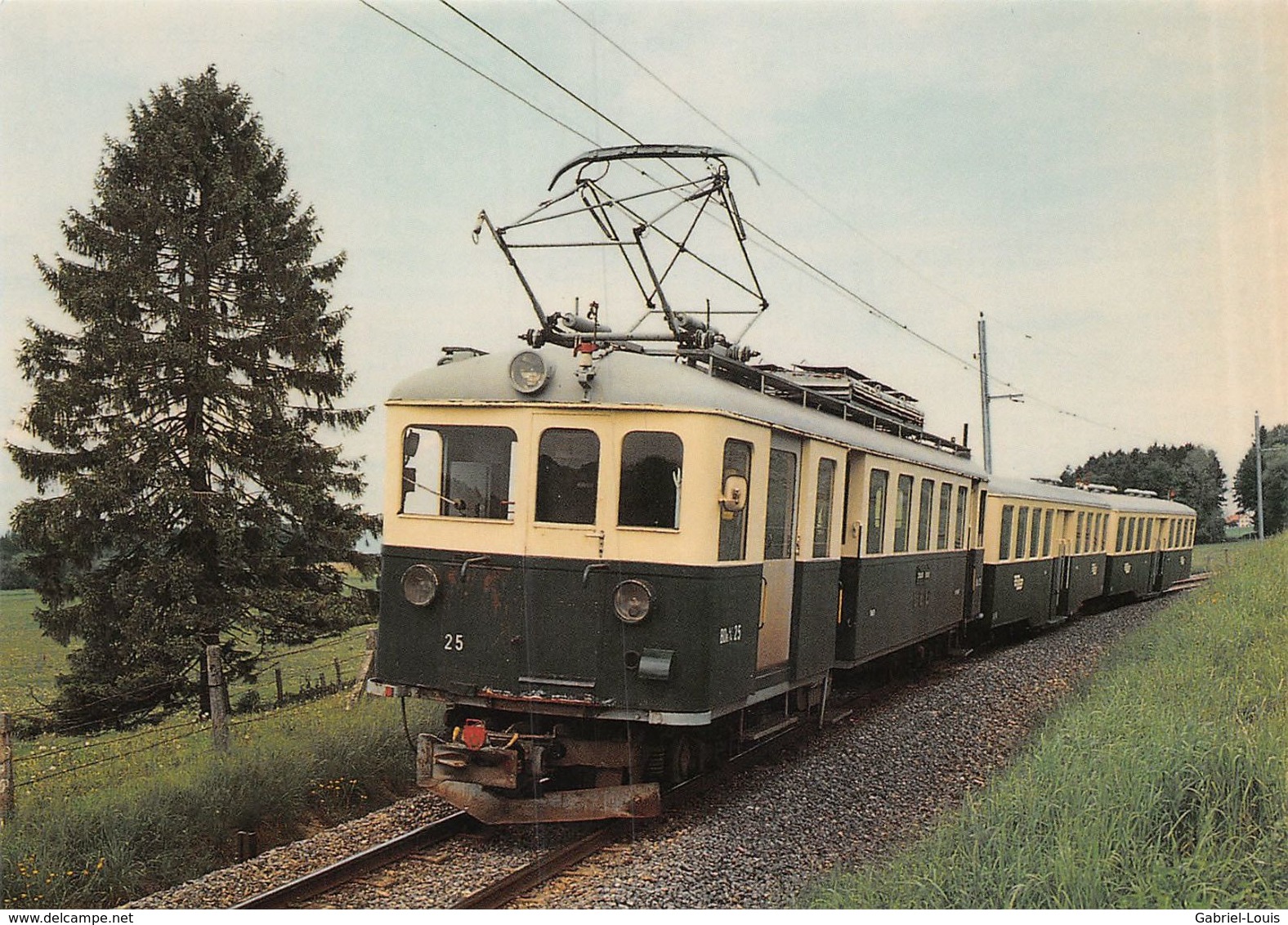 BVA - Entre Fey Et Sugnens  - Lausanne - Echallens - Bercher - LEB - L.E.B.  - Ligne De Chemin De Fer Train - BDe 4/4 25 - Bercher