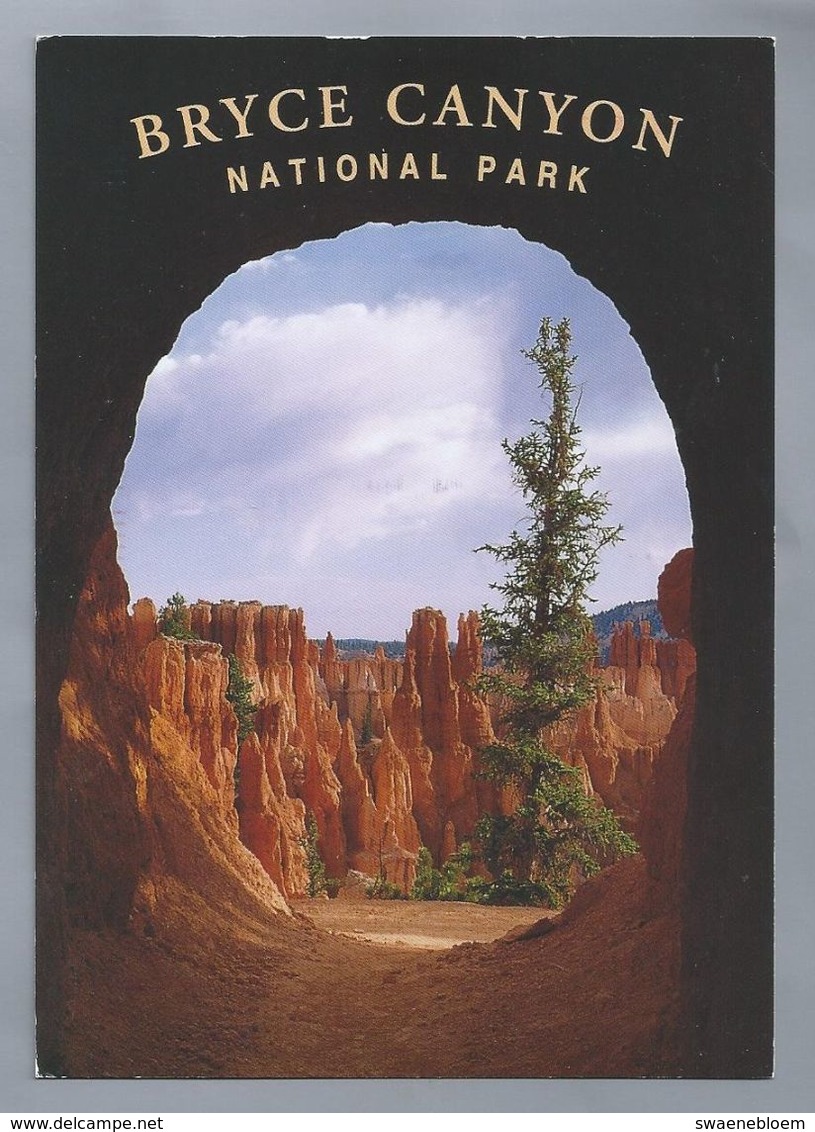 US.- UTAH. BRYCE CANYON NATIONAL PARK. - Bryce Canyon