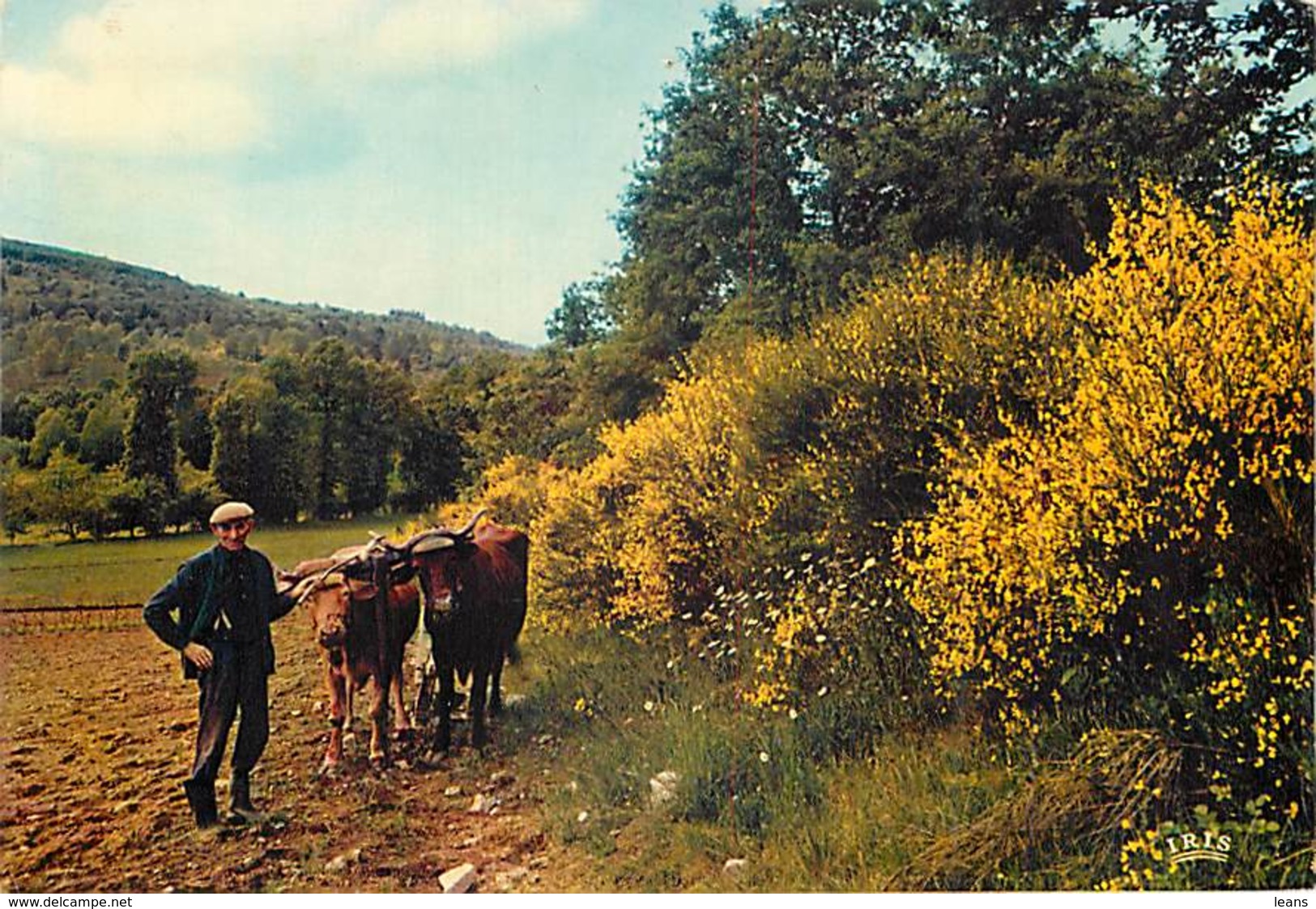 SCENE CHAMPETRE - PP 1688 - Wagengespanne