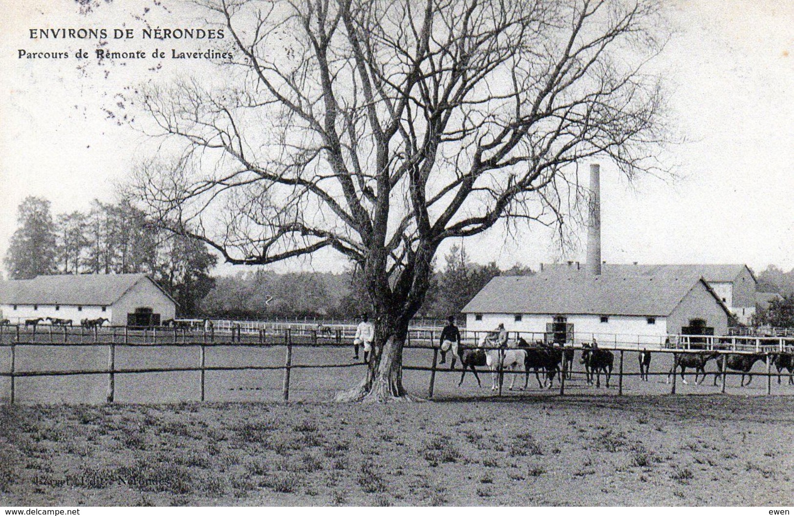 Environs De Nérondes. Parcours De Remonte De Laverdines (Chevaux) - Nérondes