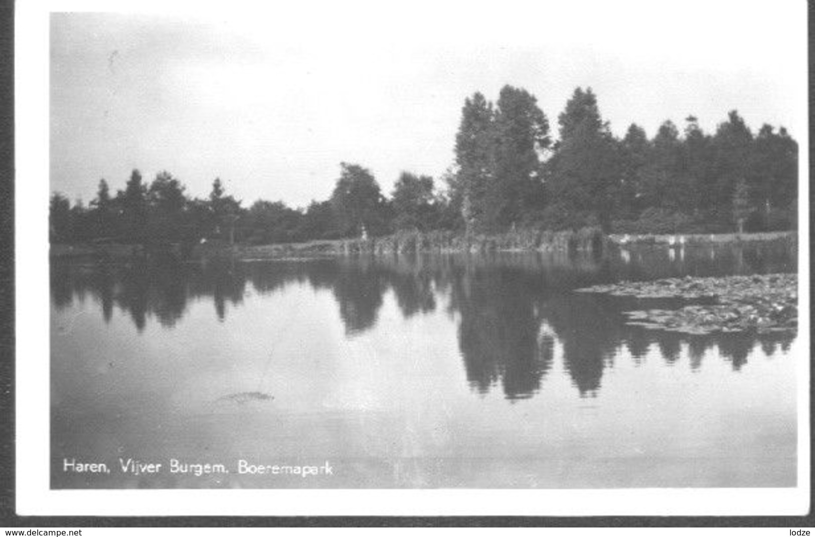 Nederland Holland Pays Bas Haren Vijver Boeremapark - Haren