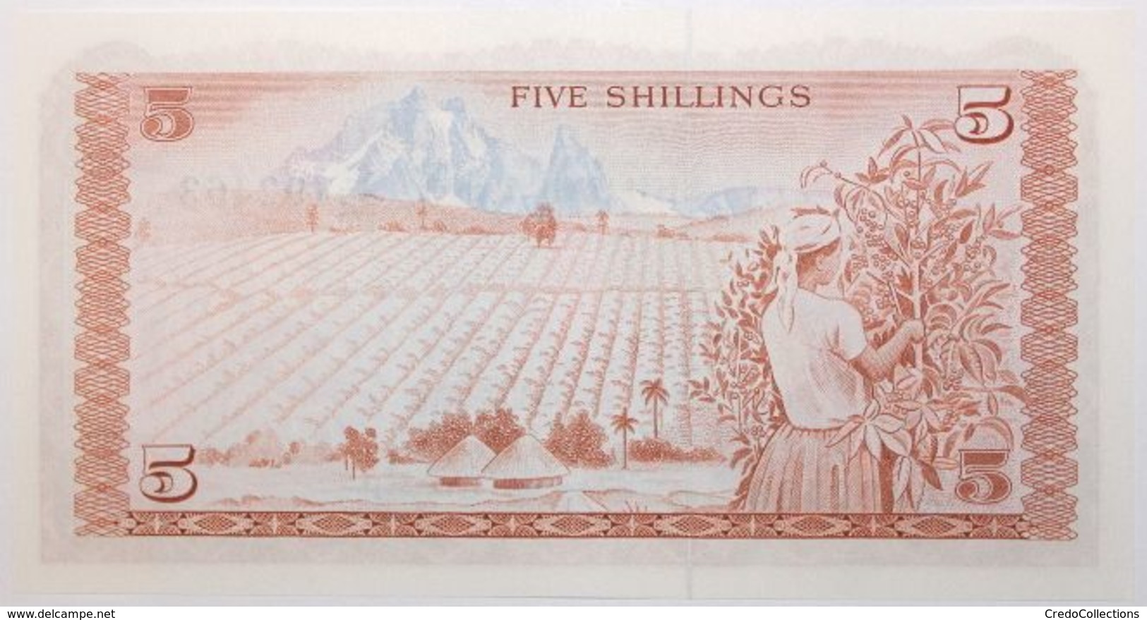 Kenya - 5 Shillings - 1978 - PICK 15 - NEUF - Kenia