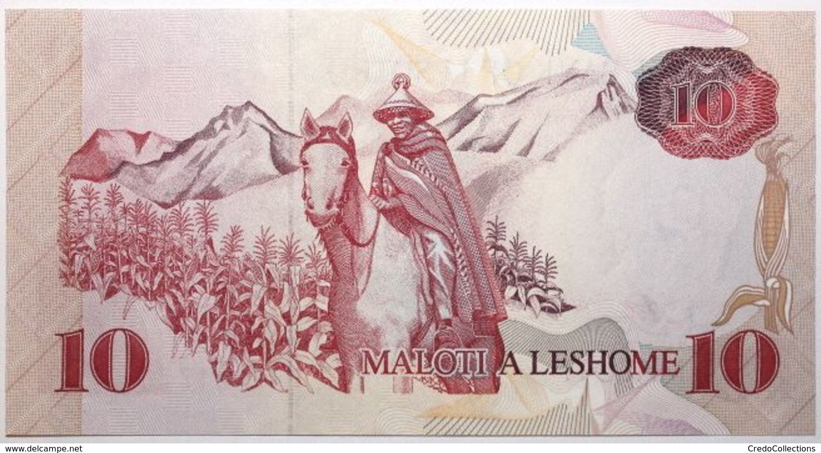 Lesotho - 10 Maloti - 1990 - PICK 11a - NEUF - Lesotho